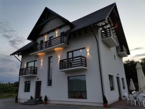 Vila President Sovata
